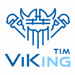 Viking Tim