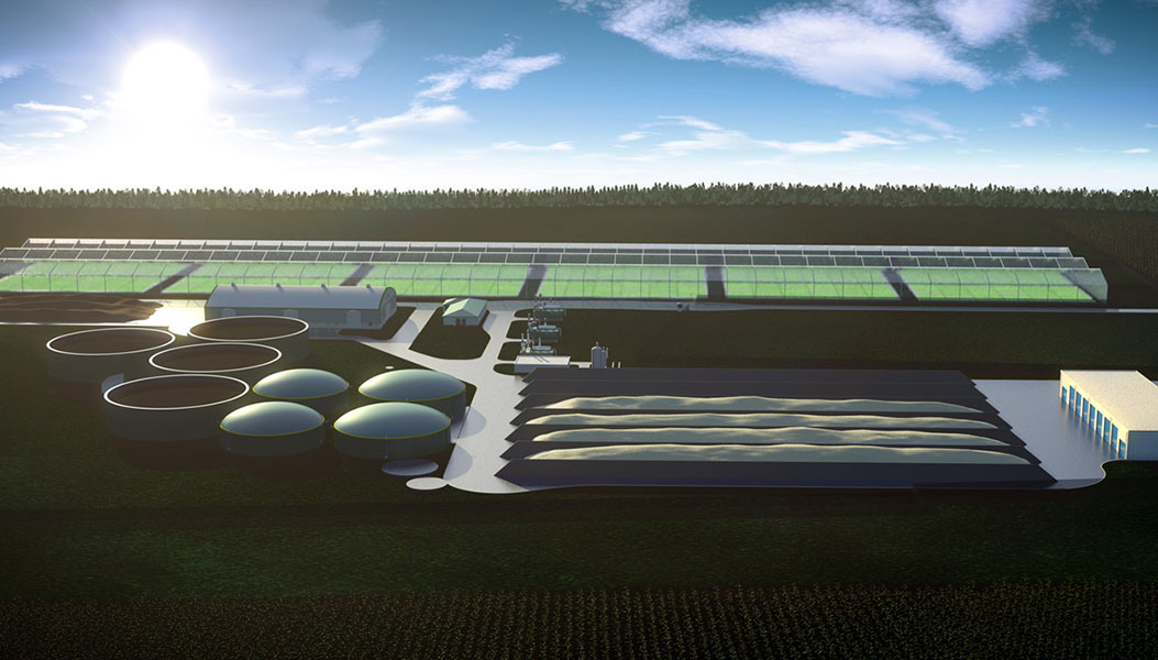 Biogas Plant – Alibunar – gallery